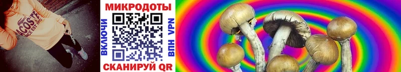 купить закладку  Павловская  Галлюциногенные грибы прущие грибы 